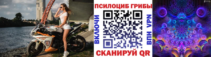 Галлюциногенные грибы GOLDEN TEACHER  Волосово 